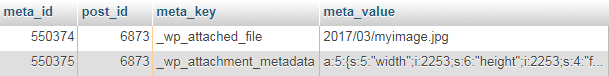 WordPress MySQL wp_postmeta